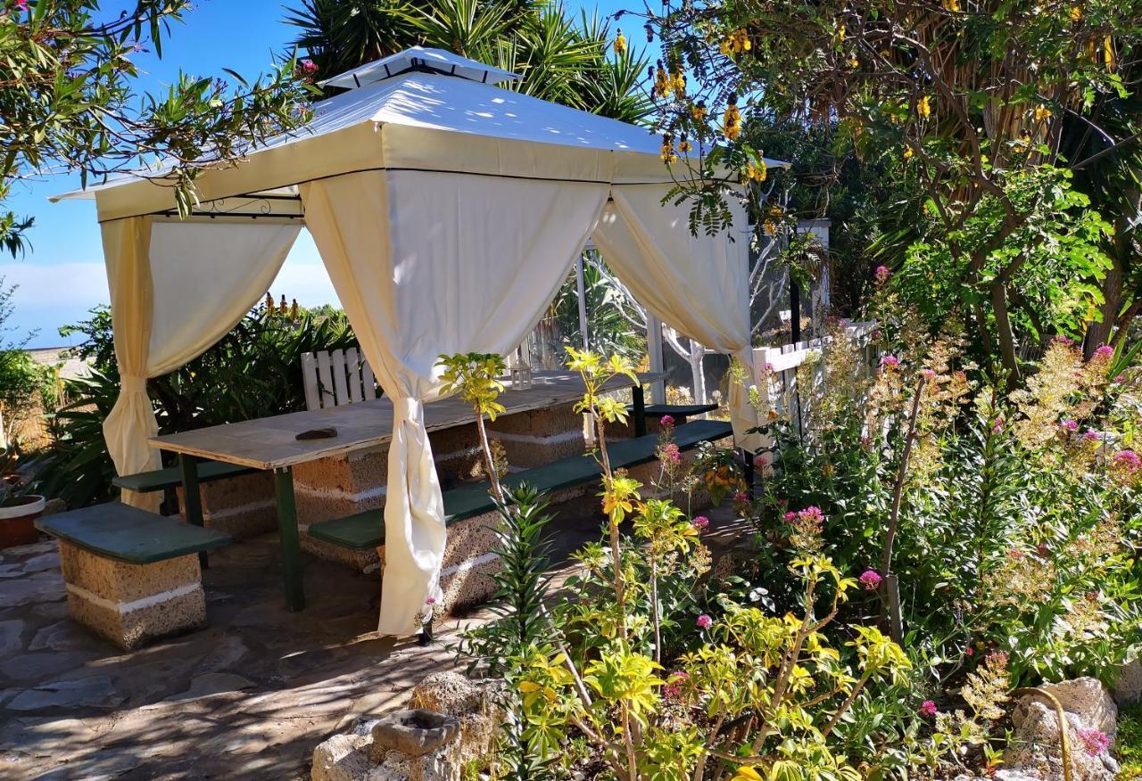 Finca Dulce Maikel Granadilla De Abona Εξωτερικό φωτογραφία