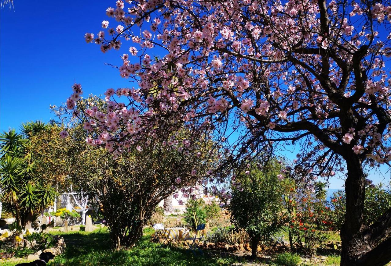 Finca Dulce Maikel Granadilla De Abona Εξωτερικό φωτογραφία