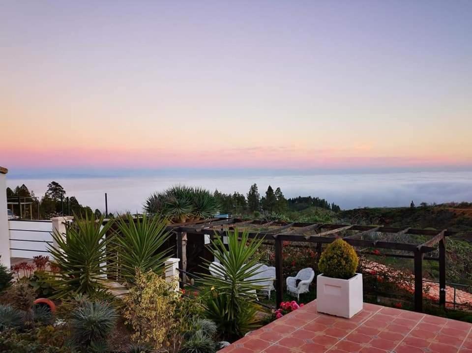 Finca Dulce Maikel Granadilla De Abona Εξωτερικό φωτογραφία
