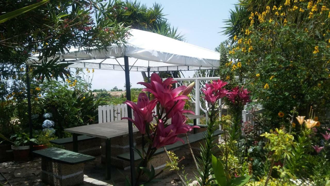 Finca Dulce Maikel Granadilla De Abona Εξωτερικό φωτογραφία