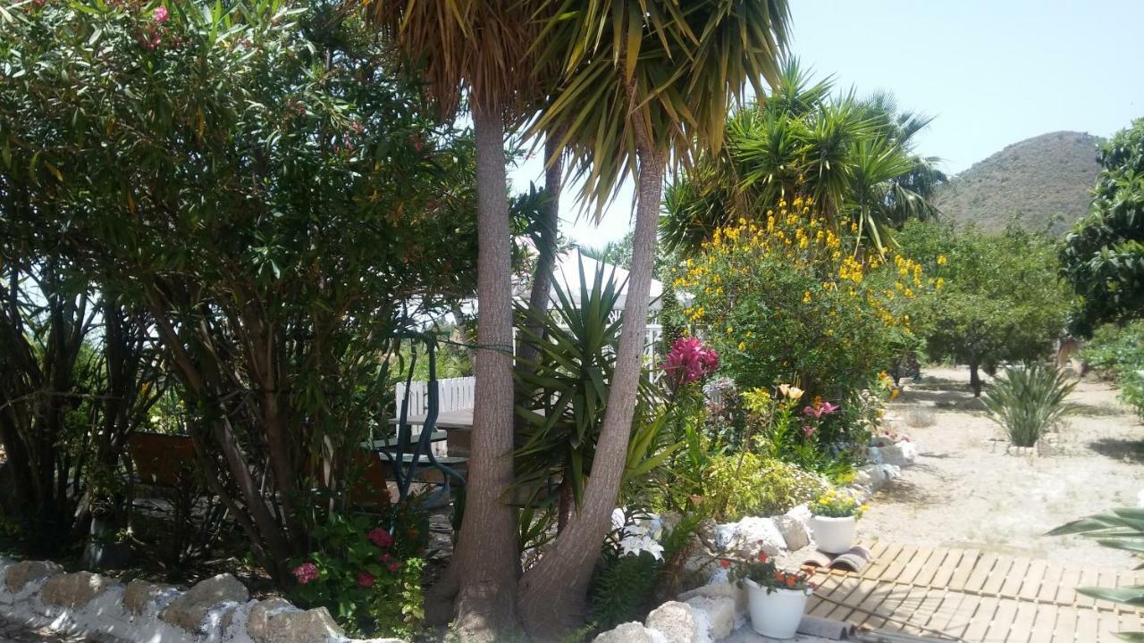 Finca Dulce Maikel Granadilla De Abona Εξωτερικό φωτογραφία