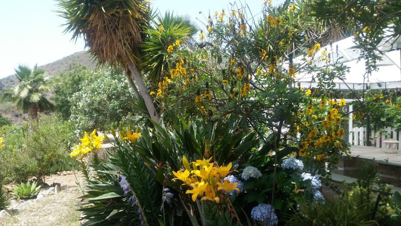 Finca Dulce Maikel Granadilla De Abona Εξωτερικό φωτογραφία